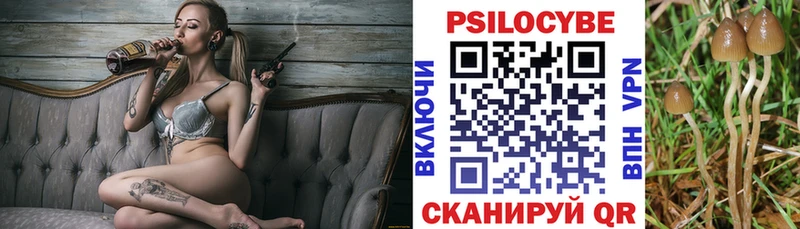 цена   Великий Новгород  Галлюциногенные грибы мицелий 