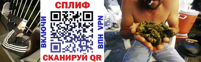 Каннабис OG Kush  Великий Новгород 